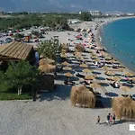 Metehan 代姆雷