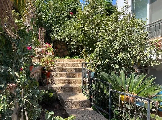 Apartament Metehan *