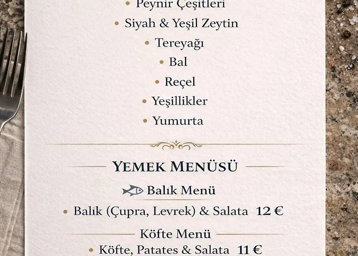 Metehan دمرة